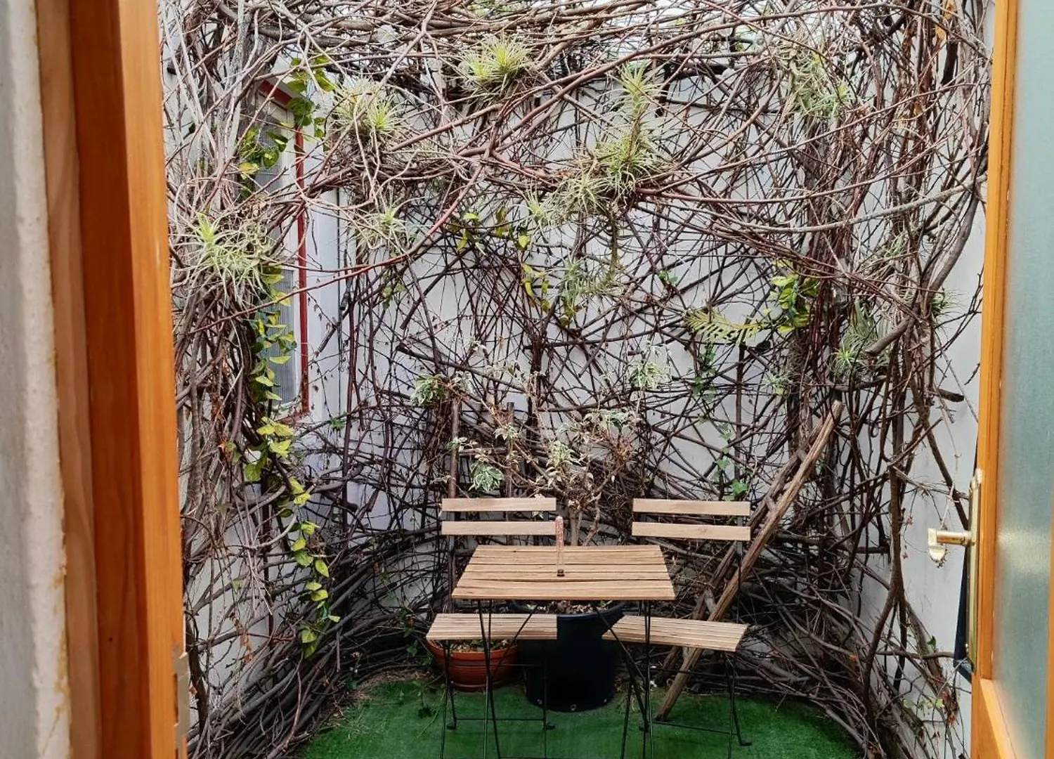 Hostel Vagamundo Los Llanos De Aridane Španělsko